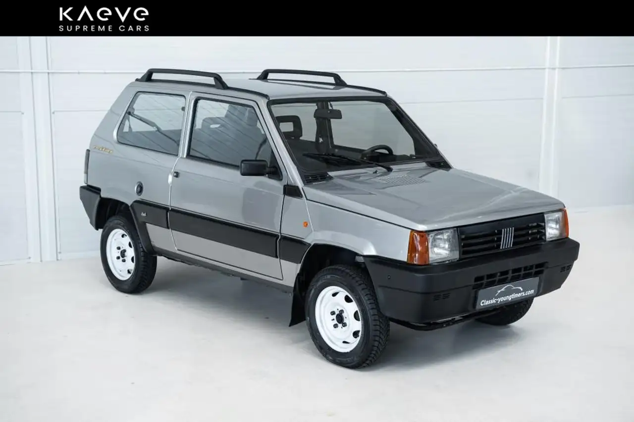 Fiat New Panda 4x4 | paint | new interior, foto 4