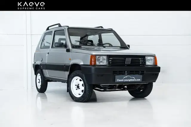 Fiat New Panda 4x4 | paint | new interior