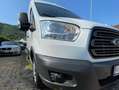 Ford Transit 2.0 ECOBLUE 310M L2H3 Passo medio Tetto alto Bianco - thumbnail 4