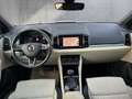 Skoda Karoq 4x4 Style Limited TDI DSG Grün - thumbnail 12