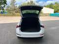Skoda Scala Monte Carlo Panorama*ACC*PDC*LED*App-Navi Weiß - thumbnail 25