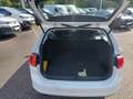 Volkswagen Golf Variant Rabbit 1,2 TSI DSG Automatik Weiß - thumbnail 15