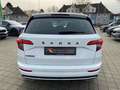 Skoda Karoq 2.0 110kW TDI Sportline Rückfahrk. Sitzhzg Weiß - thumbnail 14