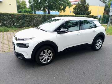 C4 Cactus Feel PureTech 110 Stop
