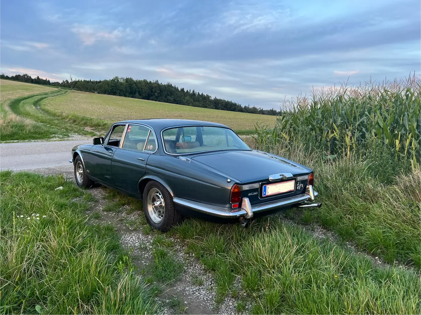 Jaguar XJ6 Grün - 2