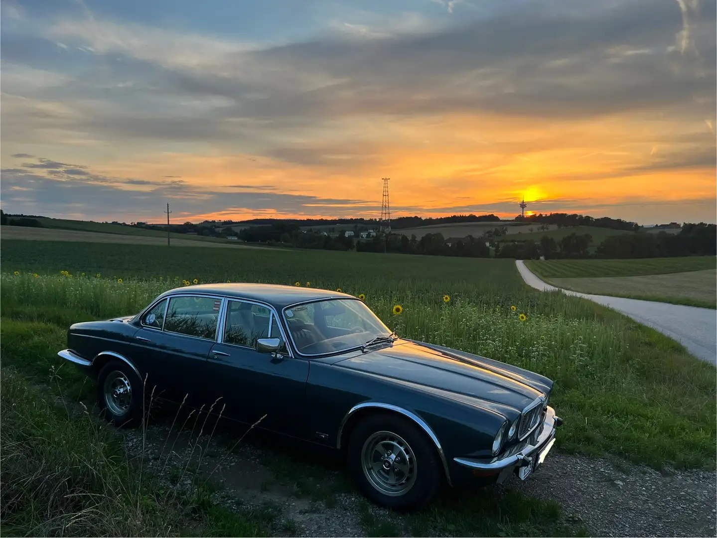 Jaguar XJ6 Grün - 1