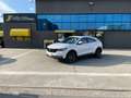 DFSK Fengon IX5 1.5 TURBO 150 CV - COUPE Blanc - thumbnail 13