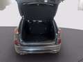 Ford Kuga 1.5 ecoboost ST-Line X 2wd 150cv Grigio - thumbnail 9