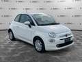 Fiat 500 500 1.2 Pop Weiß - thumbnail 3