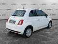 Fiat 500 500 1.2 Pop Weiß - thumbnail 5