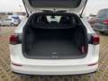 Volkswagen Golf 2.0 TDI SCR DSG 110kW R-Line Variant Weiß - thumbnail 8