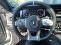 Mercedes-Benz S 350 S 350 BlueTec, 22 Zoll, 63 AMG, MOPF Gris - thumbnail 9