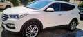 Hyundai SANTA FE 2.2 CRDi 4WD Executive Safety Pack GO! Blanc - thumbnail 1