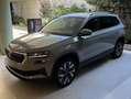 Skoda Karoq Karoq 1.5 TSI Plus DSG 110KW Plus Gris - thumbnail 4