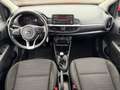 Kia Picanto 1.2 Edition 7 Tempomat Klima Bluetooth Rot - thumbnail 12