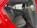 Kia Picanto 1.2 Edition 7 Tempomat Klima Bluetooth Rot - thumbnail 13