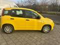 Fiat Panda HYBRID Jaune - thumbnail 9