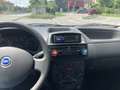 Fiat Punto 1.3 mjt 16v Dynamic Nero - thumbnail 5
