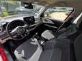 Suzuki Swift SWIFT 1.2 DUALJET HYBRID ALLRAD CLUB Rojo - thumbnail 14