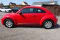 Volkswagen Beetle BMT 1.2 TSI **2. Hand/ Klima** Rot - thumbnail 8