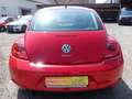 Volkswagen Beetle BMT 1.2 TSI **2. Hand/ Klima** Rot - thumbnail 6