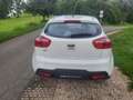 Kia Rio Edition 7 Weiß - thumbnail 8
