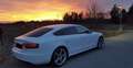 Audi A5 2.0 TDI S line Weiß - thumbnail 5