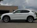 Alfa Romeo Stelvio 2.2 t Executive Q4 210cv auto + tetto apribile Fehér - thumbnail 3