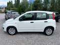 Fiat Panda 1,2 69 *Easy* (4 Zylinder) Weiß - thumbnail 3