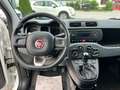Fiat Panda 1,2 69 *Easy* (4 Zylinder) Weiß - thumbnail 8