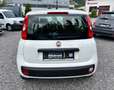 Fiat Panda 1,2 69 *Easy* (4 Zylinder) Weiß - thumbnail 5