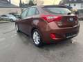 Hyundai i30 Intro Edition Braun - thumbnail 4