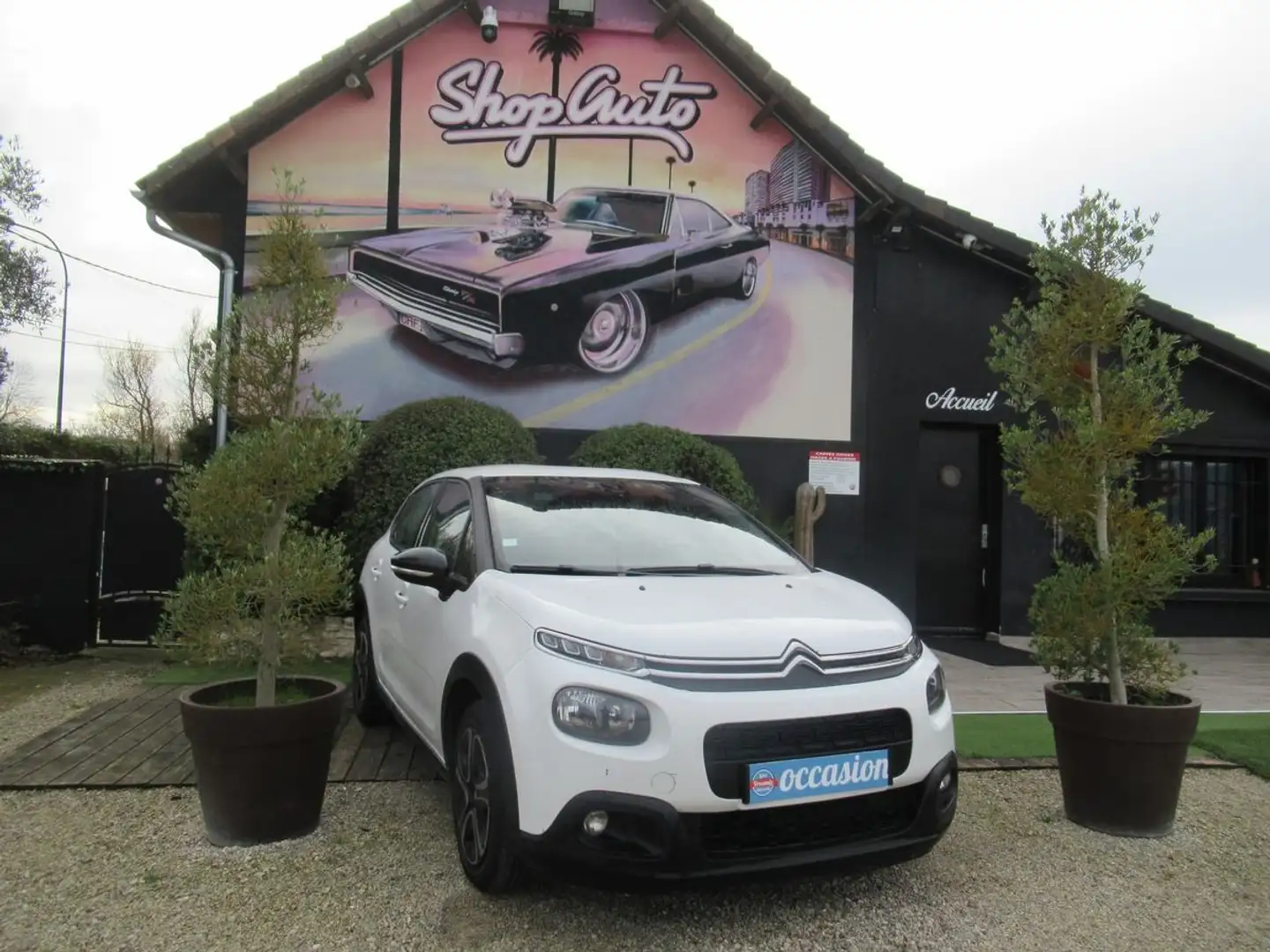 Citroen C3 iii hdi 1512 Blanc - 1