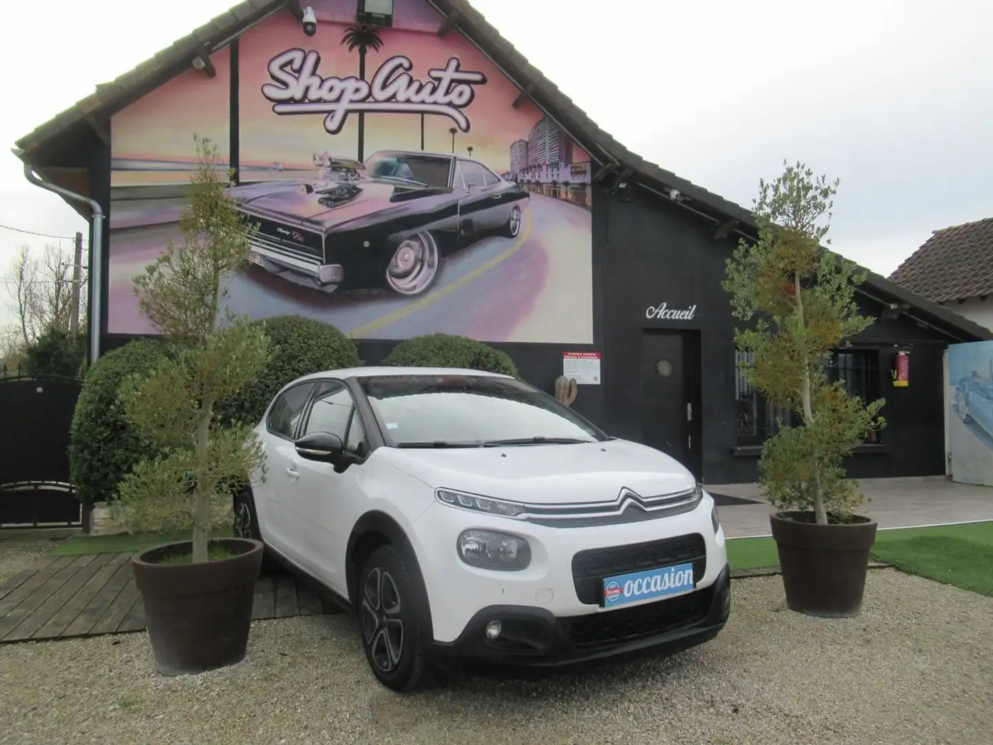 Citroen C3 iii hdi 1512 Blanc - 2