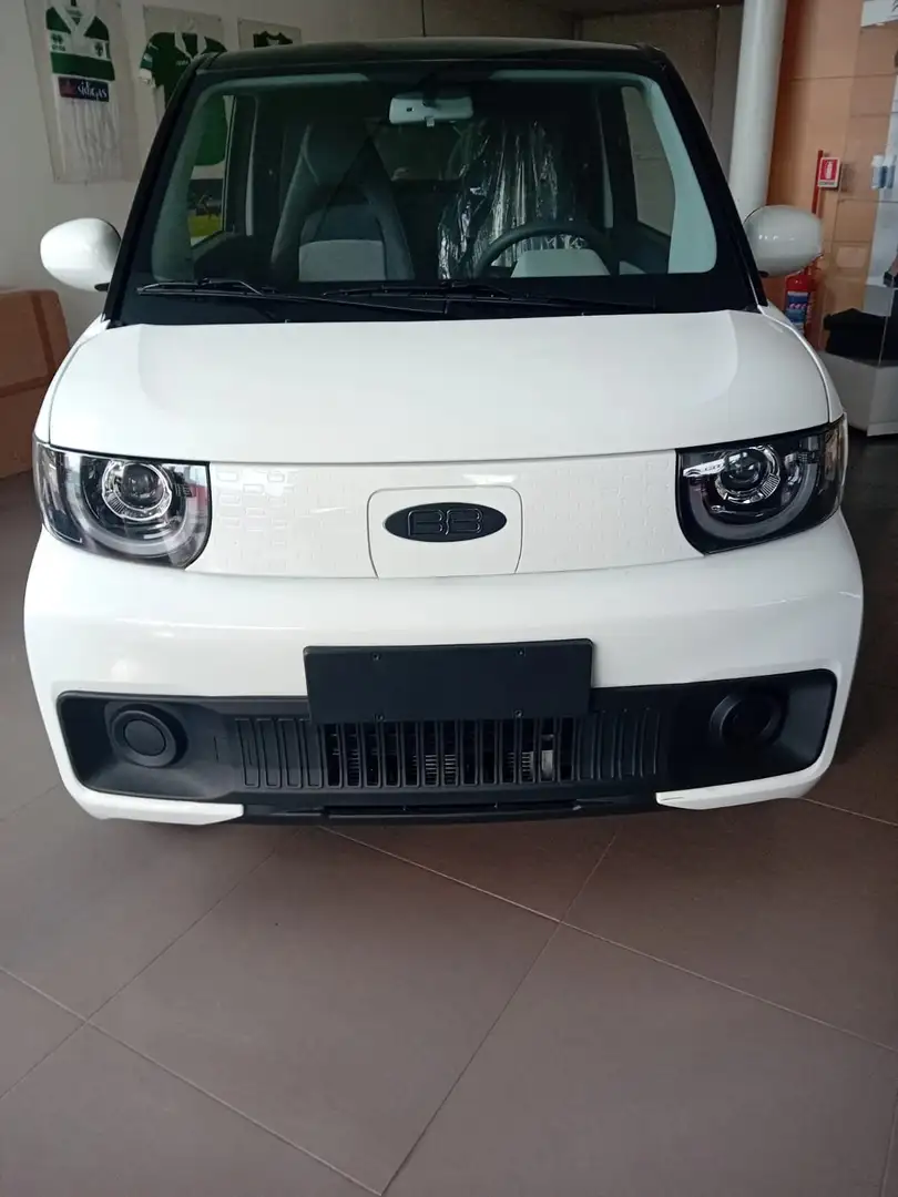 EVO EVO Electric Birba White - 2