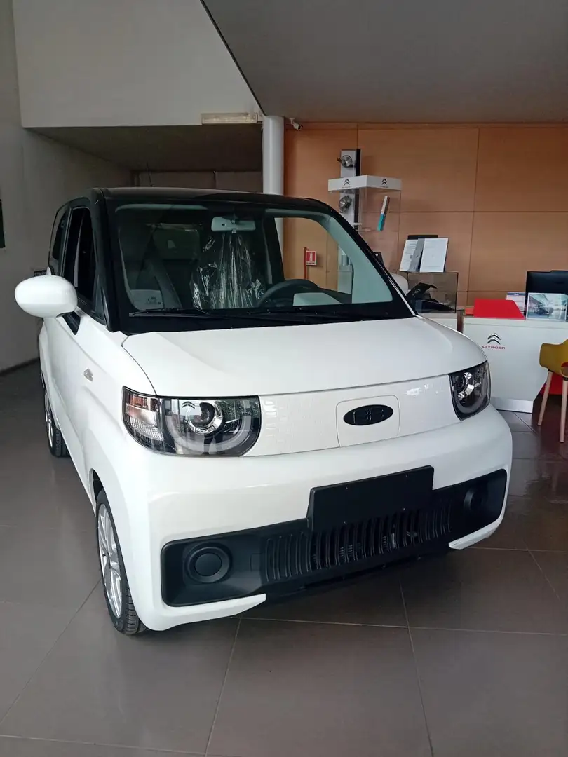 EVO EVO Electric Birba White - 1