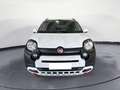 Fiat Panda 1.0 70CV HYBRID CROSS Bianco - thumbnail 5