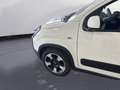 Fiat Panda 1.0 70CV HYBRID CROSS Bianco - thumbnail 12