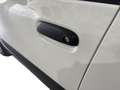 Fiat Panda 1.0 70CV HYBRID CROSS Bianco - thumbnail 11