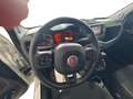 Fiat Panda 1.0 70CV HYBRID CROSS Blanco - thumbnail 20