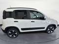 Fiat Panda 1.0 70CV HYBRID CROSS Bianco - thumbnail 7