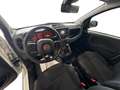 Fiat Panda 1.0 70CV HYBRID CROSS Blanco - thumbnail 18