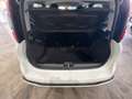 Fiat Panda 1.0 70CV HYBRID CROSS Bianco - thumbnail 14