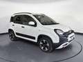 Fiat Panda 1.0 70CV HYBRID CROSS Bianco - thumbnail 8