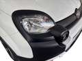 Fiat Panda 1.0 70CV HYBRID CROSS Bianco - thumbnail 9