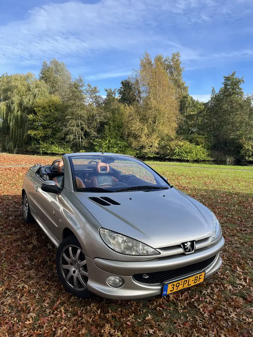 Peugeot 206 2.0-16V Roland G. Grijs - 1