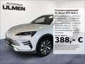 BYD Seal U DM-i Boost Leder Pano 360°Cam Voll Bianco - thumbnail 1