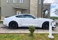 Ford Mustang Fastback 2.3 ecoboost 317cv auto Bianco - thumbnail 4