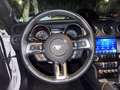 Ford Mustang Fastback 2.3 ecoboost 317cv auto Bianco - thumbnail 9