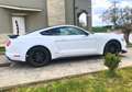 Ford Mustang Fastback 2.3 ecoboost 317cv auto Bianco - thumbnail 6